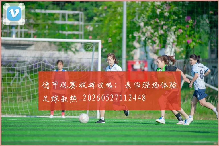 德甲观赛旅游攻略:亲临现场体验足球狂热_20260527112448